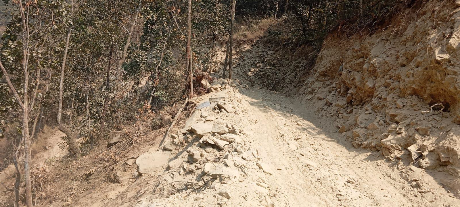 Gallery image 12
